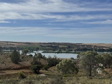 Residential Block For Sale - SA - Mannum - 5238 - Beautiful little acreage overlooking the river (Image 2)