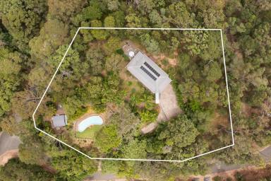 Acreage/Semi-rural For Sale - QLD - Doonan - 4562 - Hinterland Charm Meets Refined Living  (Image 2)