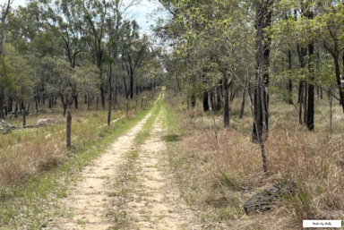 Lifestyle For Sale - QLD - Coverty - 4613 - Country Living, Ready to Walk-In and Enjoy (Image 2)