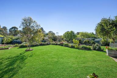 House For Sale - VIC - Bendigo - 3550 - “Surrey” 1880’s miners cottage with enormous potential.  (Image 2)