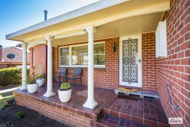 House For Sale - NSW - Bega - 2550 - Classic Double-Brick Home in a Prime Bega Location (Image 2)