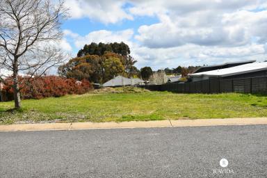 Residential Block For Sale - VIC - Beechworth - 3747 - Build your dream!  (Image 2)