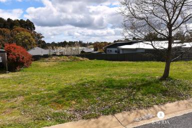 Residential Block For Sale - VIC - Beechworth - 3747 - Build your dream!  (Image 2)