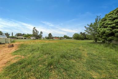 Residential Block For Sale - NSW - Tumut - 2720 - Development Opportunity!  (Image 2)