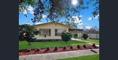 House Leased - VIC - Hamilton - 3300 - *Under Application* Freshly Renovated, Prime Location (Image 2)