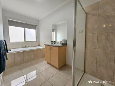 House For Sale - VIC - Kyabram - 3620 - House Proud - Shed Obsessed!!!  (Image 2)