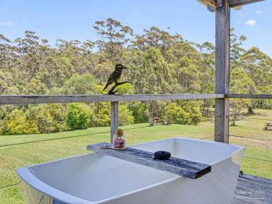 Lifestyle For Sale - NSW - Topi Topi - 2423 - Burra Ridge – Country Living at Its Finest  (Image 2)