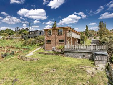 House For Sale - TAS - Romaine - 7320 - Wow-Factor family home (Image 2)