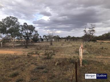 Mixed Farming Sold - WA - Trayning - 6488 - FARM FOR SALE - PROPERTY IN TRAYNING AREA  (Image 2)