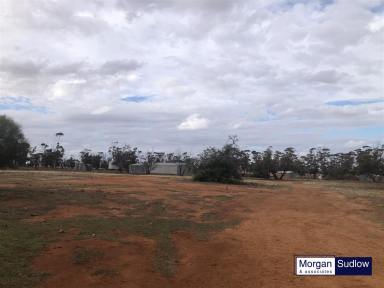 Mixed Farming For Sale - WA - Trayning - 6488 - FARM FOR SALE - PROPERTY IN TRAYNING AREA  (Image 2)