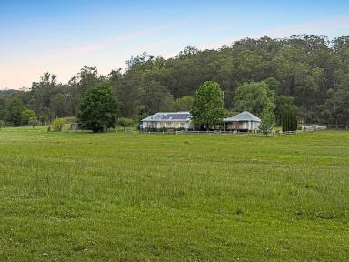Lifestyle For Sale - NSW - Wollombi - 2325 - ‘Collenbri’ – Refined Country Elegance in Prestigious Wollombi Locale (Image 2)