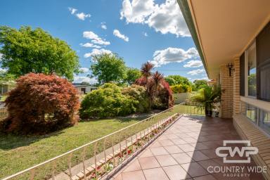 House For Sale - NSW - Glen Innes - 2370 - Solid Brick Home in a Peaceful Location  (Image 2)