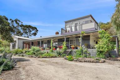 Lifestyle For Sale - VIC - Drysdale - 3222 - Country Living with Character and Charm  (Image 2)