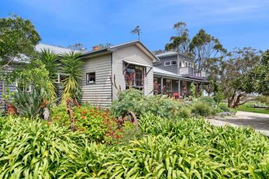 Lifestyle For Sale - VIC - Drysdale - 3222 - Country Living with Character and Charm  (Image 2)
