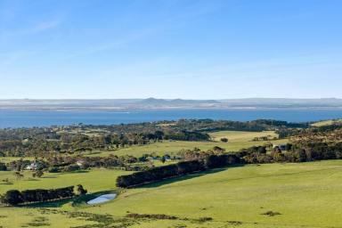 Lifestyle For Sale - VIC - Drysdale - 3222 - Country Living with Character and Charm  (Image 2)