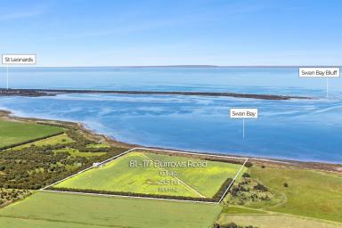 Lifestyle For Sale - VIC - Swan Bay - 3225 - An Exclusive Waterfront Estate with Sweeping Swan Bay Views  (Image 2)