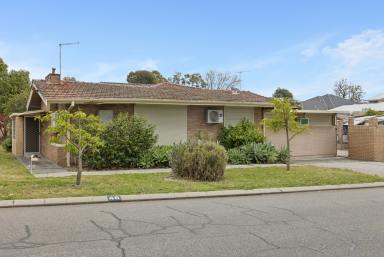 House For Sale - WA - Coolbinia - 6050 - In a Word: Opportunity (Image 2)