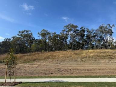 Residential Block For Sale - QLD - Boyne Island - 4680 - 1,500 SQM  LOT - Only 4 Lots Left - BE QUICK  (Image 2)