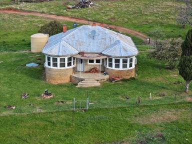 Cropping For Sale - NSW - Big Springs - 2650 - HIGH RAINFALL GRAZING  (Image 2)