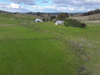 Cropping For Sale - NSW - Big Springs - 2650 - HIGH RAINFALL GRAZING  (Image 2)