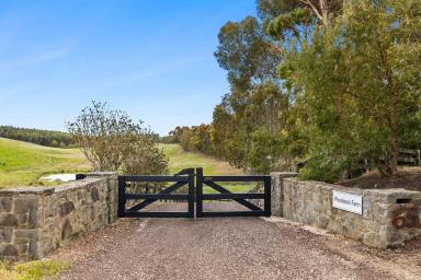 Lifestyle For Sale - VIC - Winchelsea - 3241 - "Woodstock Farm"  (Image 2)
