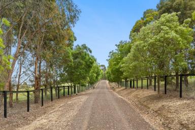 Lifestyle For Sale - VIC - Winchelsea - 3241 - "Woodstock Farm"  (Image 2)