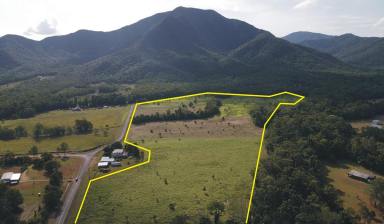 Lifestyle For Sale - QLD - Bemerside - 4850 - A LIFESTYLE OPPORTUNITY AWAITS NORTH OF INGHAM! (Image 2)