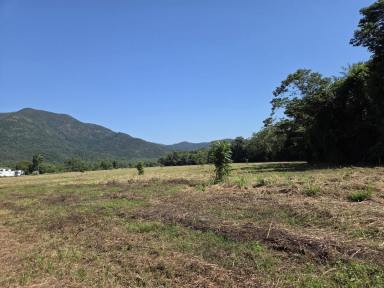 Lifestyle For Sale - QLD - Bemerside - 4850 - A LIFESTYLE OPPORTUNITY AWAITS NORTH OF INGHAM! (Image 2)