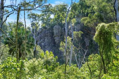 Other (Rural) For Sale - NSW - Kangaroo Valley - 2577 - "Kulmaren" A Rare Opportunity in the Kangaroo Valley Region  (Image 2)