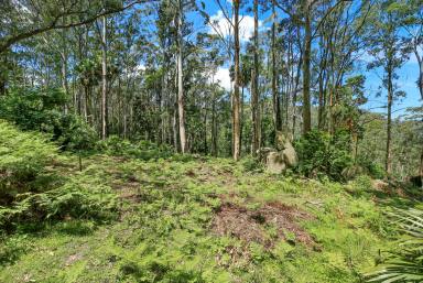 Other (Rural) For Sale - NSW - Kangaroo Valley - 2577 - "Kulmaren" A Rare Opportunity in the Kangaroo Valley Region (Image 2)