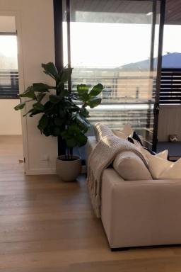 Apartment For Lease - VIC - Hampton - 3188 - The best of bayside living (Image 2)