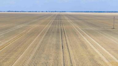 Mixed Farming For Sale - NSW - Moree - 2400 - North Prairie  (Image 2)