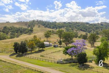 Lifestyle For Sale - NSW - Muscle Creek - 2333 - "MOONYA" | 40 acres | Charming Country Retreat with Water Security (Image 2)