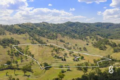 Lifestyle For Sale - NSW - Muscle Creek - 2333 - "MOONYA" | 40 acres | Charming Country Retreat with Water Security (Image 2)