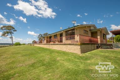Acreage/Semi-rural For Sale - NSW - Glen Innes - 2370 - Peaceful Luxury with Views Across Lambs Valley (Image 2)