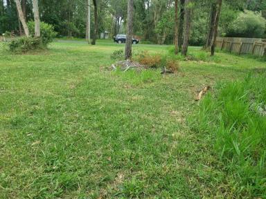 Residential Block For Sale - QLD - Macleay Island - 4184 - Perfectly Positioned 688m² Block in a Peaceful Street  (Image 2)