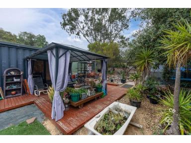 House For Sale - SA - Swan Reach - 5354 - Unique tiny home with all the creature comforts (Image 2)