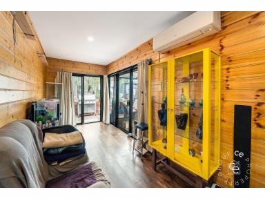 House For Sale - SA - Swan Reach - 5354 - Unique tiny home with all the creature comforts (Image 2)