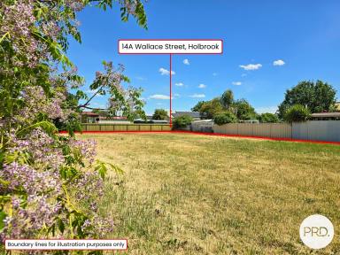 Residential Block For Sale - NSW - Holbrook - 2644 - SPACIOUS VILLAGE-ZONED ALLOTMENT (Image 2)