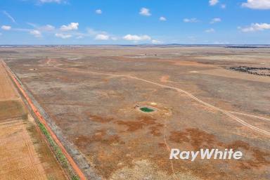 Mixed Farming Auction - VIC - Patho - 3564 - Upcoming Auction - 455 Acres (Approx.) (Image 2)