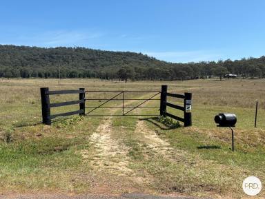 Lifestyle For Sale - NSW - Denman - 2328 - Settle In and Start Living the Lifestyle (Image 2)