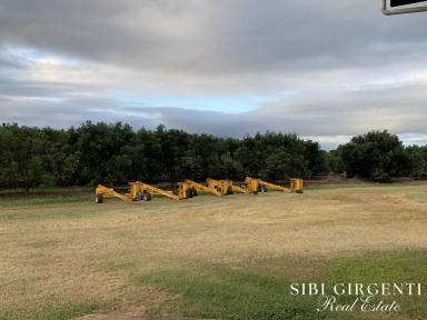 Cropping For Sale - QLD - Arriga - 4880 - 213Ha Horticultural Enterprise with Multiple Income Streams (Image 2)