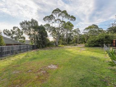 Residential Block For Sale - TAS - Coles Bay - 7215 - The Sunny End of Bradley Drive  (Image 2)