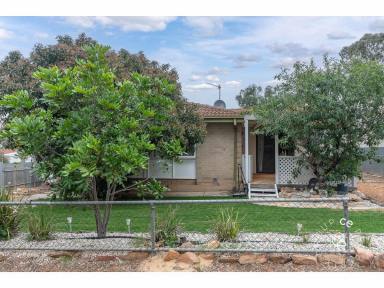 House For Sale - SA - Mannum - 5238 - Affordable family home in a handy location  (Image 2)