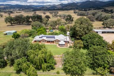 Lifestyle For Sale - NSW - Mudgee - 2850 - 'ALLAWAH' – Water, Lifestyle & Future Potential (Image 2)