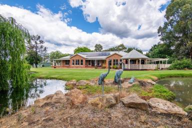Lifestyle For Sale - NSW - Mudgee - 2850 - 'ALLAWAH' – Water, Lifestyle & Future Potential (Image 2)