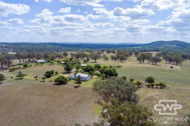 Mixed Farming For Sale - NSW - Inverell - 2360 - Fully Renovated 4 Bedroom Home & Quality Grazing Land with Cultivation Options  (Image 2)