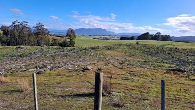 Other (Rural) Sold - TAS - Barrington - 7306 - Opportunity Knocks! - Under Contract  (Image 2)