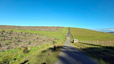 Other (Rural) For Sale - TAS - Barrington - 7306 - Opportunity Knocks! - Farm Land to Return to the Fold  (Image 2)