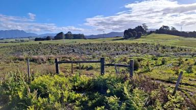 Other (Rural) For Sale - TAS - Barrington - 7306 - Opportunity Knocks! - Farm Land to Return to the Fold  (Image 2)